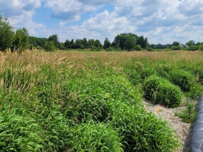 Ceny wywozu ścieków rosną, a oczyszczalnie nie nadążają. Eksperci radzą: bierzmy przykład z Francji