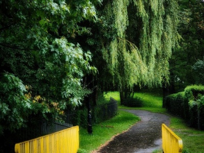 „Po deszczu” Fotką Września