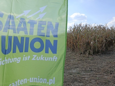 Odmiany kukurydzy Saaten Union 2026 – nowe propozycje zaprezentowane w Strykowie