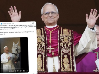 Papież dostał białego konia z Kołobrzegu-Budzistowa i chyba się ucieszył