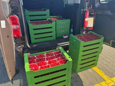 Ceny malin na rynkach hurtowych 15.10.2025