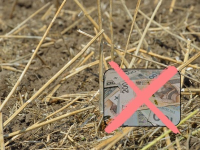 Nowe limity i niższe stawki zniechęciły rolników. Ekoschematy 2025 z rekordowym spadkiem