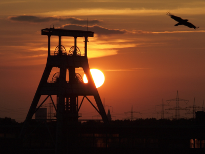 Los górników w rękach rządu. Branża w napięciu