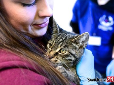 Podwójne święto w świdnickim schronisku. Dzień Kundelka i jubileusz Fundacji Mam Pomysł