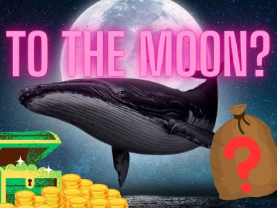 Podejrzana aktywność wielorybów. Kupiły 1,38 mln sztuk tej kryptowaluty, ale coś tu nie gra