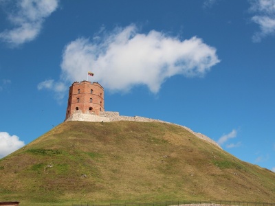 Litwa stawia na zbrojenia! W przyszłym roku kraj wyda ponad 5% PKB na obronność
