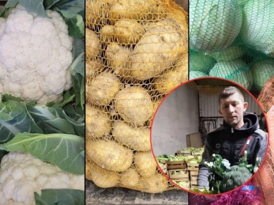 Serwery padły, telefony się urywały. Polacy ruszyli po warzywa i owoce prosto od rolnika