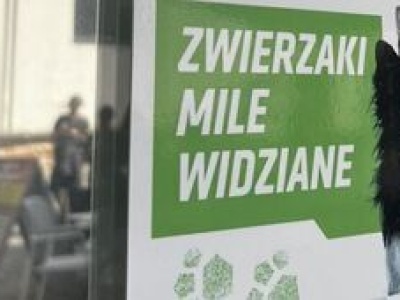 Lublin lubi zwierzaki. W tych miejscach zjesz, poczytasz czy zrobisz zakupy w towarzystwie pupila