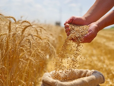 Polska traci pozycję eksportową! Zboża sprzedajemy trzy razy mniej niż dwa lata temu