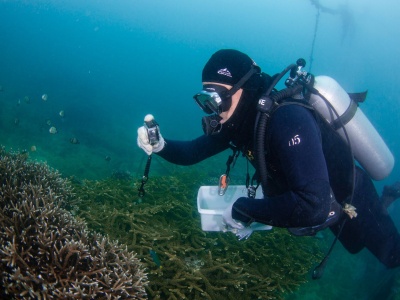 Ziemia przekroczyła pierwszy klimatyczny punkt krytyczny. Eksperci biją na alarm
