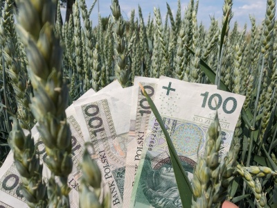 Ruszyły tanie pożyczki dla rolników, ale trzeba się śpieszyć – decyduje kolejność zgłoszeń