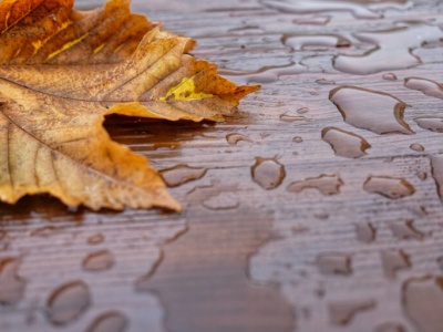 Pogoda na piątek | W pogodzie bez zmian – jesień daje się we znaki