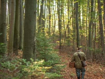 Poszedł na grzyby, a dokonał niesamowitego odkrycia. Tu mogło być cmentarzysko