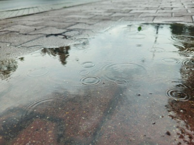 Deszczowy piątek w regionie. IMGW prognozuje przelotne opady i chłodny wiatr