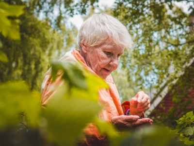 Renta wdowia nie dla wszystkich. Seniorzy czują się oszukani