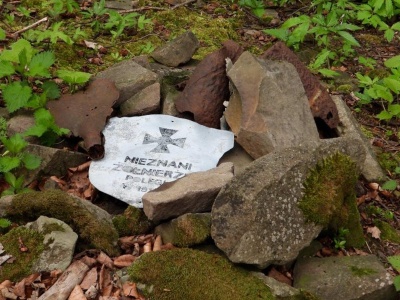 Mogiły z czasów wojen w podkarpackich lasach. W regionie są 53 takie cmentarze