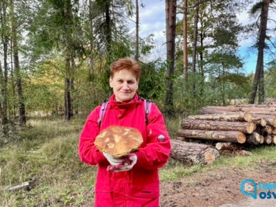 Grzyby wciąż rosną. Pani Maria w Bobrku znalazła olbrzyma