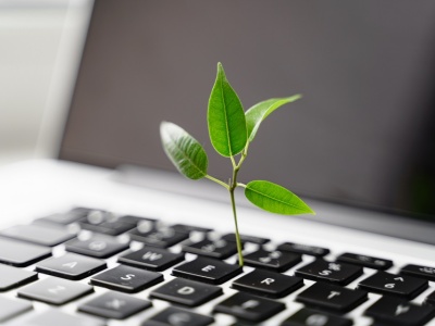 Biznes wobec zrównoważonego rozwoju: między deklaracją a działaniem