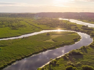 Sejm przyjął poprawkę Senatu do ustawy ws. utworzenia Parku Narodowego Doliny Dolnej Odry