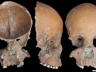 Kubki i maski z czaszek. Ludzkie kości były materiałem, jak każdy inny