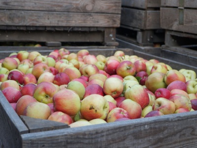 Popyt napędza sprzedaż skrzyń. Byle co też się sprzeda