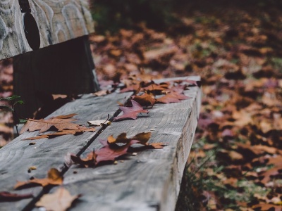 Nadchodzi mocne uderzenie zimna. Jesień pokaże chłodniejsze oblicze!