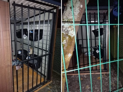 W Krynicy-Zdroju powstała pierwsza w powiecie ,,strefa kota”