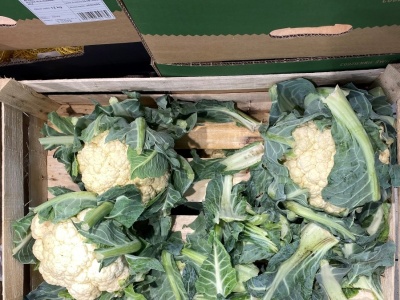 Rolnik sprzedaje plony prosto z pola. 