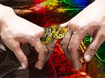 Tzw. związki (nie)partnerskie nie mogą być legalne z powodu Konstytucji