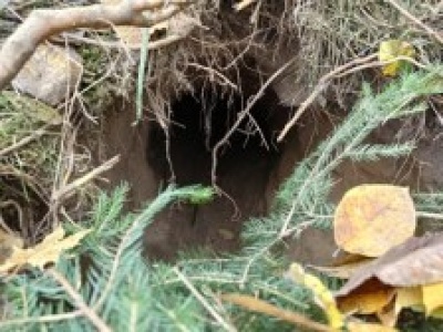 Podziemny tunel odkryty w pobliżu granicy z Białorusią