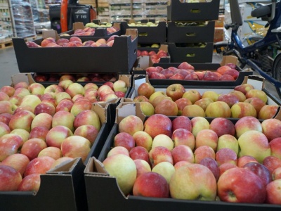 Lobo, Cortland i Boskoop – aktualne ceny „wielkiej trójki” w hurcie