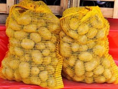 Niemcy wysłali ziemniaki do Polski. Zarobili ponad 130 mln zł