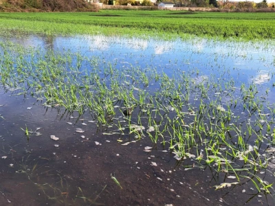 Wsparcie finansowe dla rolników już 27 października! Dodatkowo - ważna informacja dla rolników z Żuław!
