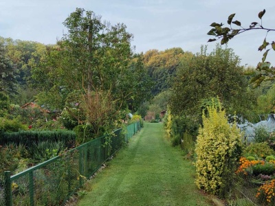 Krakowscy policjanci apelują do działkowców
