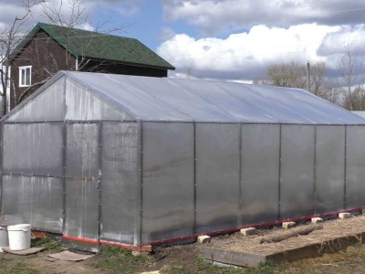 Zdezynfekuj glebę w szklarni tym sposobem. Wiosną będzie jak nowo narodzona