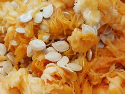 Prawdziwa skarbnica witamin i minerałów. Jesienią króluje w kuchniach i dekoracjach