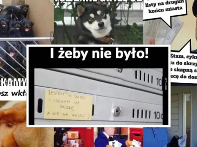 Dzień Poczty Polskiej 2025. ZOBACZ najlepsze MEMY o listonoszach