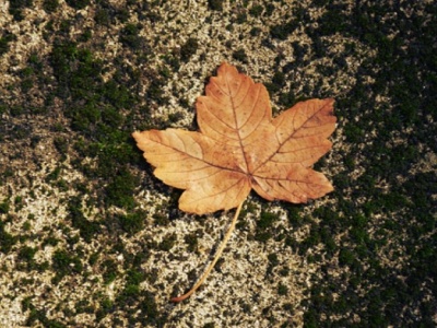 Co nas czeka w nadchodzącym tygodniu? Prognoza pogody na tydzień 18.10 – 23.10.2025