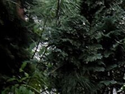 Rymarska po metamorfozie. Kolejne ulice czekają na podobną zmianę