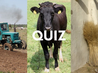 Oto wiejski quiz wiedzy ogólnej! Mieszczuchy niech nie liczą na 11/11