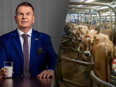 30 gr dopłaty do mleka? Prezes Mlekovity: Polska tonie w mleku
