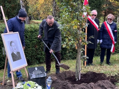 Nowe Drzewka Pamięci na Cmentarzu Centralnym