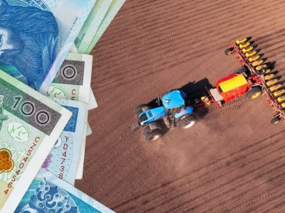 Podatek rolny 2026: rolnicy zapłacą mniej. GUS ogłosił nową cenę żyta