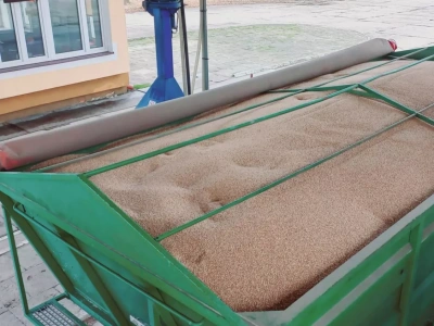 Rynek zbóż w kryzysie: 