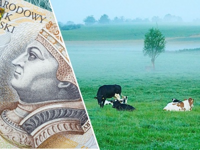 Do wzięcia 234 ha od KOWR. Zaskakująco niski czynsz, jednak jest pewne „ale”