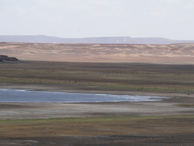 Dwa gatunki człowieka żyły tam obok siebie. Przełomowe doniesienia z Kenii