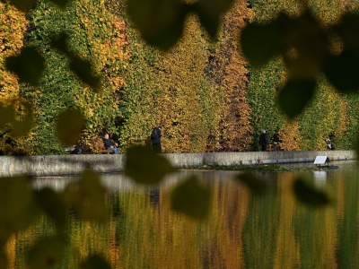 Złota jesień w Parku Oliwskim w Gdańsku