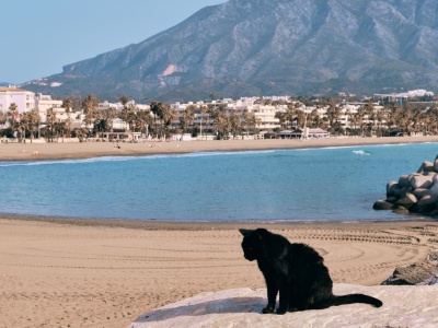 Nietypowy zakaz w Hiszpanii przed Halloween. 