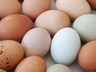 Produkcja jaj — sektor z dużym potencjałem