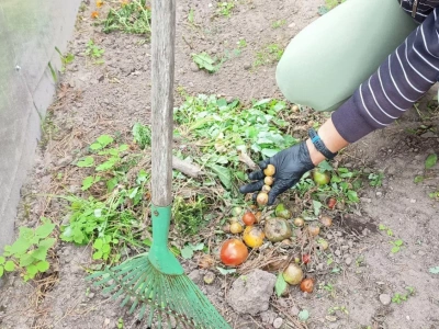 Nie czekaj do wiosny. Jesienią zrób ten zabieg, a gleba odwdzięczy się plonem